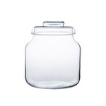 Glass jar vase H:20cm D:19cm W-395C+glass cover