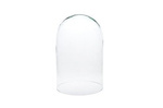 Glass dome H:38cm D:22cm