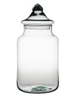 Glass jar vase W-395H+cover H:29cm D:17cm