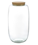 Glass terrarium W-599+cork  H: 26cm D: 15cm