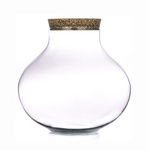 Glass Terrarium W-591A + cork H:30cm D:31cm
