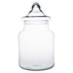 Glass jar vase W-395C1 + glass lid