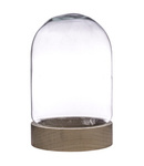 Glass cover with Wooden beech stand W-580A H:20cm D:15cm