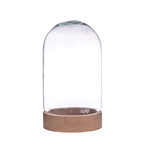 Glass cover with wooden beech stand W-580B H:27cm D:17cm