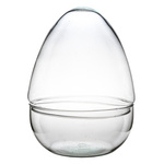 Glass terrarium egg  Szklane terrarium jajko W-694+W-694/I H:26,5cm D:19,8cm OUTLET